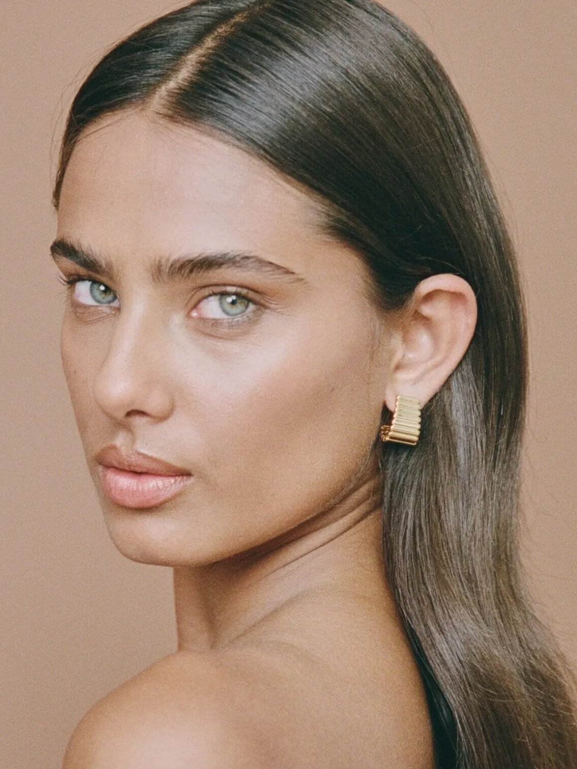 Turtle Earrings - Gold